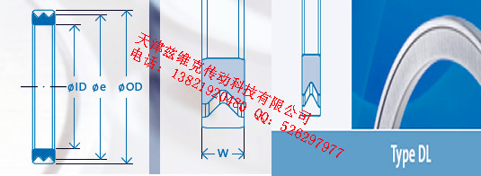 GMNDL15X26X4油封圖紙